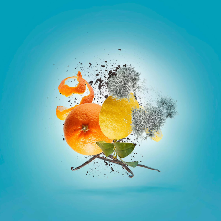 Erba Pura 100ml - Eau de Parfum