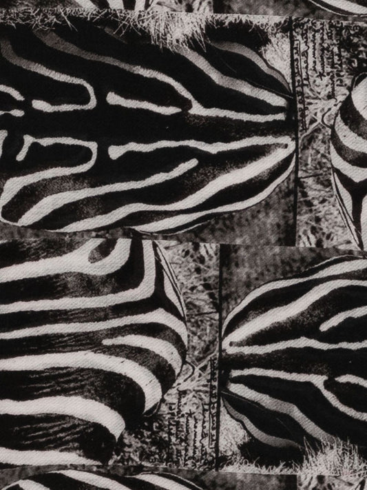 Faliero Sarti Zebra-print fringed scarf